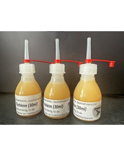 Fish glue for repairing and mounting of insect specimes