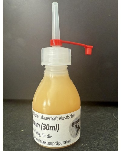 Fish glue for repairing and mounting of insect specimes