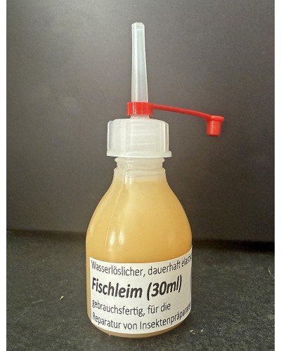Fish glue for repairing and mounting of insect specimes