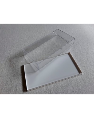 Grosse Plastikboxen, 19.6 x 10 x 3.8 cm
