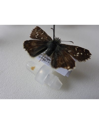 Micro vials, Type 2 (including holder)