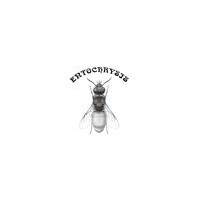 Entochrysis