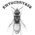 Entochrysis